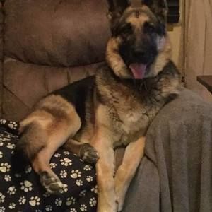 Meet your Posher, Tracy